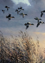 Load image into Gallery viewer, Herb Booth - Teal and Palmetto - Lithograph - Brand New Custom Sporting Frame