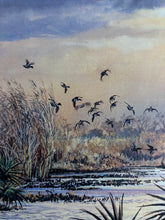 Load image into Gallery viewer, Herb Booth - Teal and Palmetto - Lithograph - Brand New Custom Sporting Frame