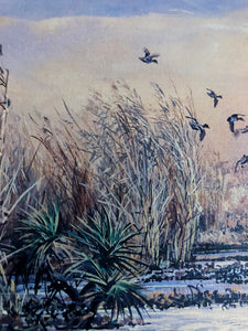Herb Booth - Teal and Palmetto - Lithograph - Brand New Custom Sporting Frame