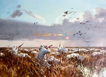 Load image into Gallery viewer, John P. Cowan - Dawn Flight - Lithograph - Printed 1971 - Brand New Custom Sporting Frame