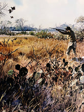Load image into Gallery viewer, John P. Cowan Cactus Covey Lithograph Year 1988 - Brand New Super Custom Sporting Frame