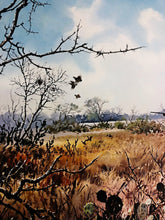 Load image into Gallery viewer, John P. Cowan Cactus Covey Lithograph Year 1988 - Brand New Super Custom Sporting Frame