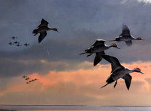 Load image into Gallery viewer, John P. Cowan Wetlands Pintails Lithograph AP Year 2001 - Brand New Custom Sporting Frame