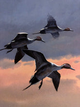 Load image into Gallery viewer, John P. Cowan - Wetlands Pintails - Lithograph AP 2001 - Brand New Custom Sporting Frame