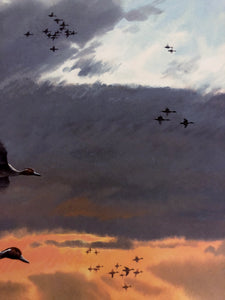 John P. Cowan - Wetlands Pintails - Lithograph AP 2001 - Brand New Custom Sporting Frame