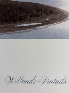John P. Cowan Wetlands Pintails Lithograph AP Year 2001 - Brand New Custom Sporting Frame
