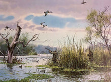 Load image into Gallery viewer, John P. Cowan Teal Hunt Lithograph Year 1976 - Brand New Super Custom Sporting Frame