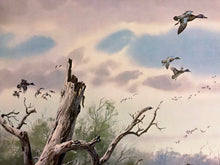 Load image into Gallery viewer, John P. Cowan Teal Hunt Lithograph Year 1976 - Brand New Super Custom Sporting Frame