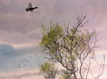 Load image into Gallery viewer, John P. Cowan Teal Hunt Lithograph Year 1976 - Brand New Super Custom Sporting Frame