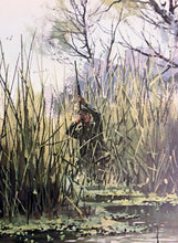 Load image into Gallery viewer, John P. Cowan Teal Hunt Lithograph Year 1976 - Brand New Custom Sporting Frame