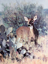 Load image into Gallery viewer, Ken Carlson Phantom Of The Flats Lithograph Year 1983 - Brand New Super Custom Sporting Frame