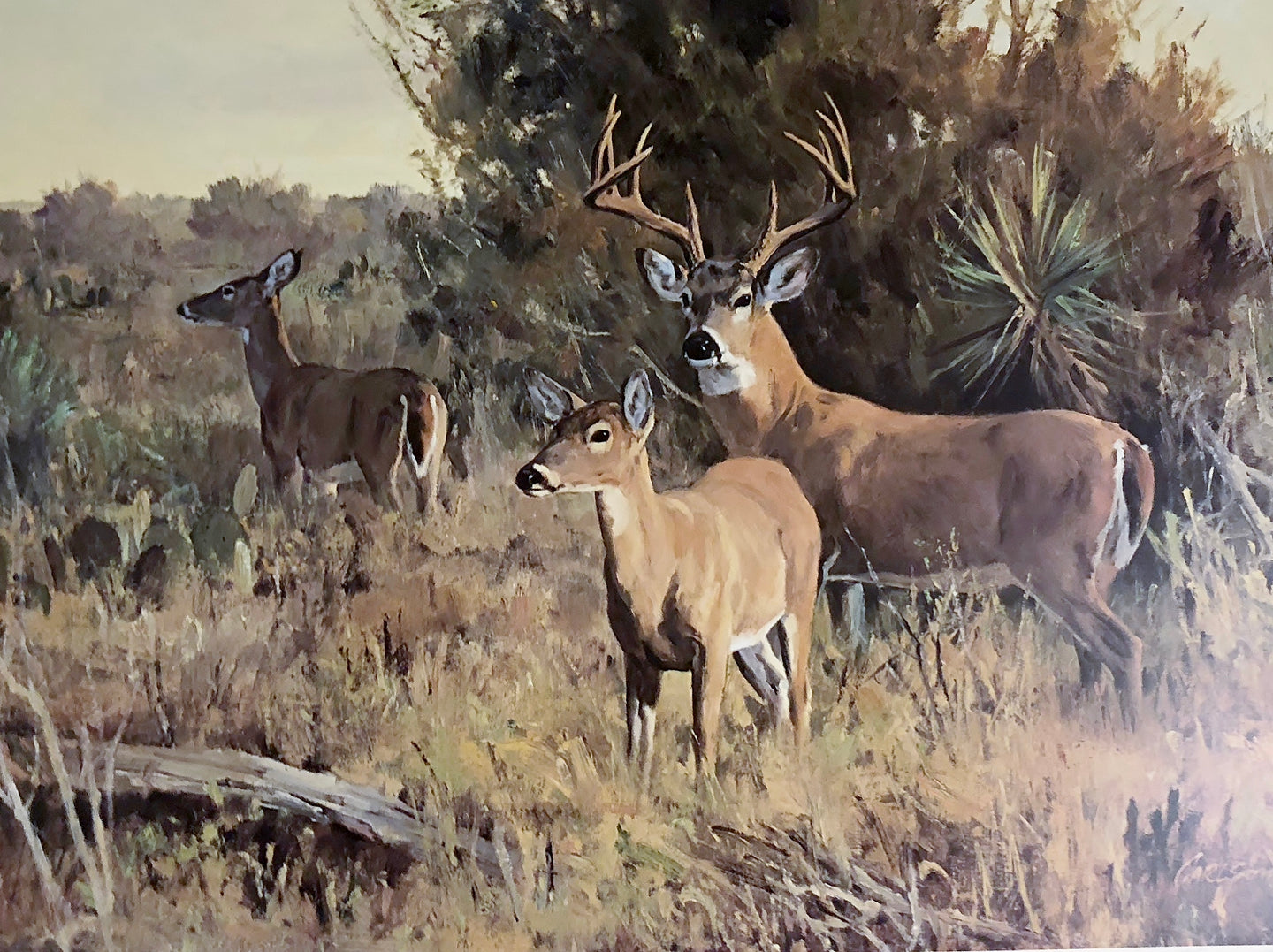 Ken Carlson - Brush Country Escort - Lithograph - Brand New Custom Sporting Frame