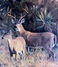 Load image into Gallery viewer, Ken Carlson - Brush Country Escort - Lithograph - Brand New Custom Sporting Frame