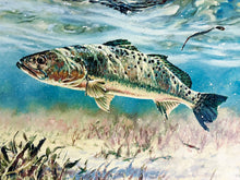 Load image into Gallery viewer, Chance Yarbrough - Pothole Predation - GiClee - Speckled Trout - Brand New Custom Sporting Frame