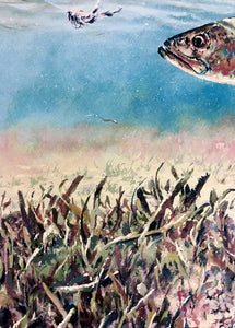 Chance Yarbrough - Pothole Predation - GiClee - Speckled Trout - Brand New Custom Sporting Frame