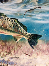 Load image into Gallery viewer, Chance Yarbrough - Pothole Predation - GiClee - Speckled Trout - Brand New Custom Sporting Frame