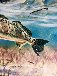 Chance Yarbrough - Pothole Predation - GiClee - Speckled Trout - Brand New Custom Sporting Frame