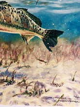 Load image into Gallery viewer, Chance Yarbrough - Pothole Predation - GiClee - Speckled Trout - Brand New Custom Sporting Frame
