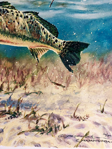 Chance Yarbrough - Pothole Predation - GiClee - Speckled Trout - Brand New Custom Sporting Frame