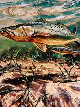 Load image into Gallery viewer, Chance Yarbrough - Dangerous Company - GiClee - Speckled Trout w Mullet - Brand New Custom Sporting Frame