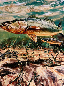 Chance Yarbrough - Dangerous Company - GiClee - Speckled Trout w Mullet - Brand New Custom Sporting Frame