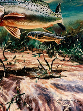 Load image into Gallery viewer, Chance Yarbrough - Dangerous Company - GiClee - Speckled Trout w Mullet - Brand New Custom Sporting Frame