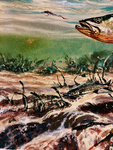 Chance Yarbrough - Dangerous Company - GiClee - Speckled Trout w Mullet - Brand New Custom Sporting Frame