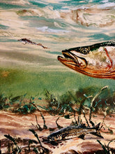 Load image into Gallery viewer, Chance Yarbrough - Dangerous Company - GiClee - Speckled Trout w Mullet - Brand New Custom Sporting Frame