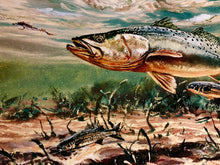 Load image into Gallery viewer, Chance Yarbrough - Dangerous Company - GiClee - Speckled Trout w Mullet - Brand New Custom Sporting Frame