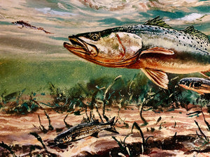 Chance Yarbrough - Dangerous Company - GiClee - Speckled Trout w Mullet - Brand New Custom Sporting Frame