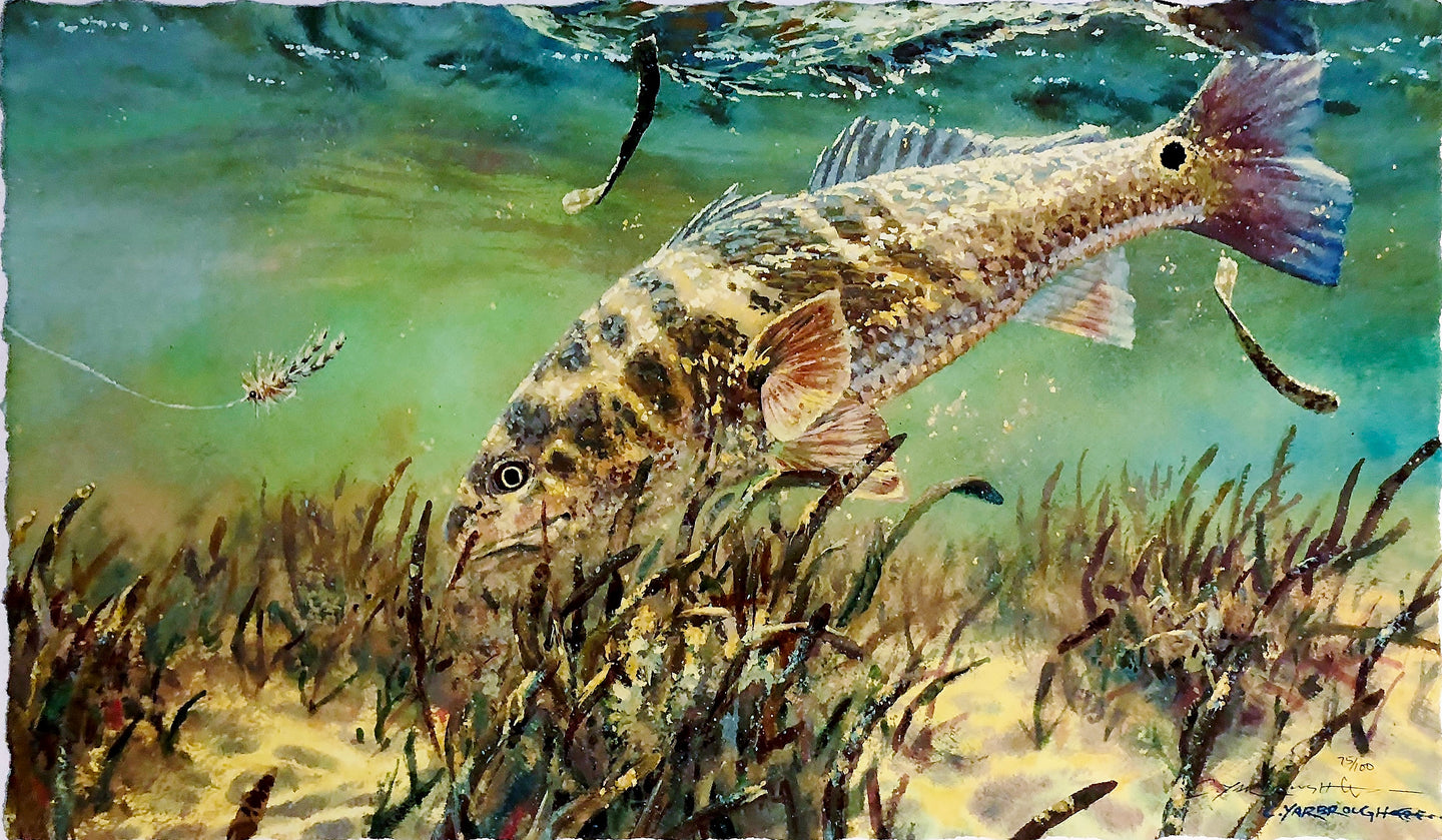 Chance Yarbrough - Single Tailing Red - HS GiClee - Tailing Redfish - Brand New Custom Sporting Frame