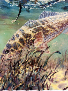 Chance Yarbrough Single Tailing Red GiClee Half Sheet - Tailing Redfish - Brand New Custom Sporting Frame