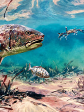 Load image into Gallery viewer, Chance Yarbrough - Backwater Buffet - Full Sheet GiClee - Redfish - Brand New Custom Sporting Frame