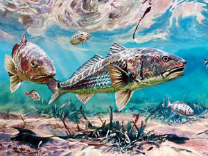Chance Yarbrough - Backwater Buffet - Full Sheet GiClee - Redfish - Brand New Custom Sporting Frame