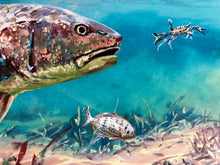Load image into Gallery viewer, Chance Yarbrough - Backwater Buffet - Full Sheet GiClee - Redfish - Brand New Custom Sporting Frame