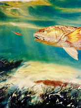 Load image into Gallery viewer, Chance Yarbrough - Party of Two - Lithograph AP - Redfish - Brand New Custom Sporting Frame