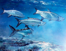Load image into Gallery viewer, Chance Yarbrough - Saltwater Silversides - HS GiClee - Tarpon Fishing - Brand New Custom Sporting Frame