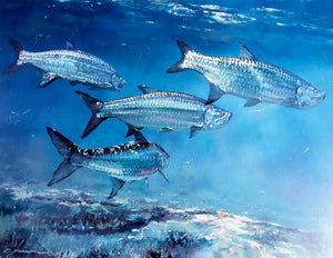 Chance Yarbrough - Saltwater Silversides - HS GiClee - Tarpon Fishing - Brand New Custom Sporting Frame