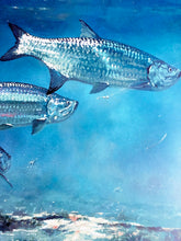 Load image into Gallery viewer, Chance Yarbrough - Saltwater Silversides - HS GiClee - Tarpon Fishing - Brand New Custom Sporting Frame
