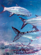 Load image into Gallery viewer, Chance Yarbrough - Saltwater Silversides - HS GiClee - Tarpon Fishing - Brand New Custom Sporting Frame