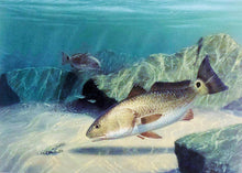 Load image into Gallery viewer, John Dearman 2006 Texas Saltwater Stamp Print W Stamp - Brand New Custom Sporting Frame