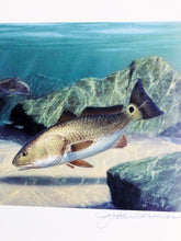Load image into Gallery viewer, John Dearman 2006 Texas Saltwater Stamp Print W Stamp - Brand New Custom Sporting Frame