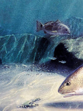 Load image into Gallery viewer, John Dearman 2006 Texas Saltwater Stamp Print W Stamp - Brand New Custom Sporting Frame