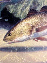 Load image into Gallery viewer, John Dearman 2006 Texas Saltwater Stamp Print W Stamp - Brand New Custom Sporting Frame