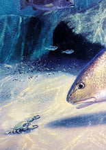 Load image into Gallery viewer, John Dearman 2006 Texas Saltwater Stamp Print W Stamp - Brand New Custom Sporting Frame
