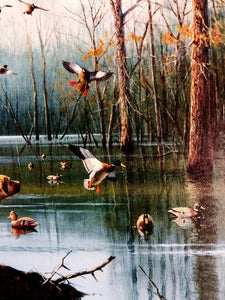 John Dearman  1998 Arkansas Duck Migratory Waterfowl Stamp Print With Double Stamps - AP - Brand New Custom Sporting Frame
