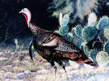 Load image into Gallery viewer, John Dearman 1997 Texas Wild Turkey Stamp Print With Double Stamps - Brand New Super Custom Sporting Frame