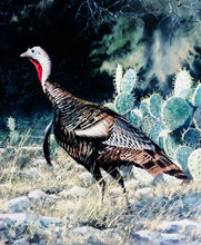 Load image into Gallery viewer, John Dearman 1997 Texas Wild Turkey Stamp Print With Double Stamps - Brand New Custom Sporting Frame