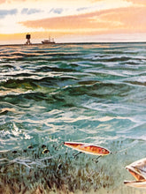 Load image into Gallery viewer, John P. Cowan 1989 Texas Saltwater Stamp Print With Stamp - Brand New Super Custom Sporting Frame