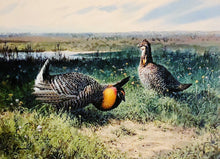 Load image into Gallery viewer, John P. Cowan 1986 Texas Non-Game Stamp Print With Stamp - Brand New Super Custom Sporting Frame